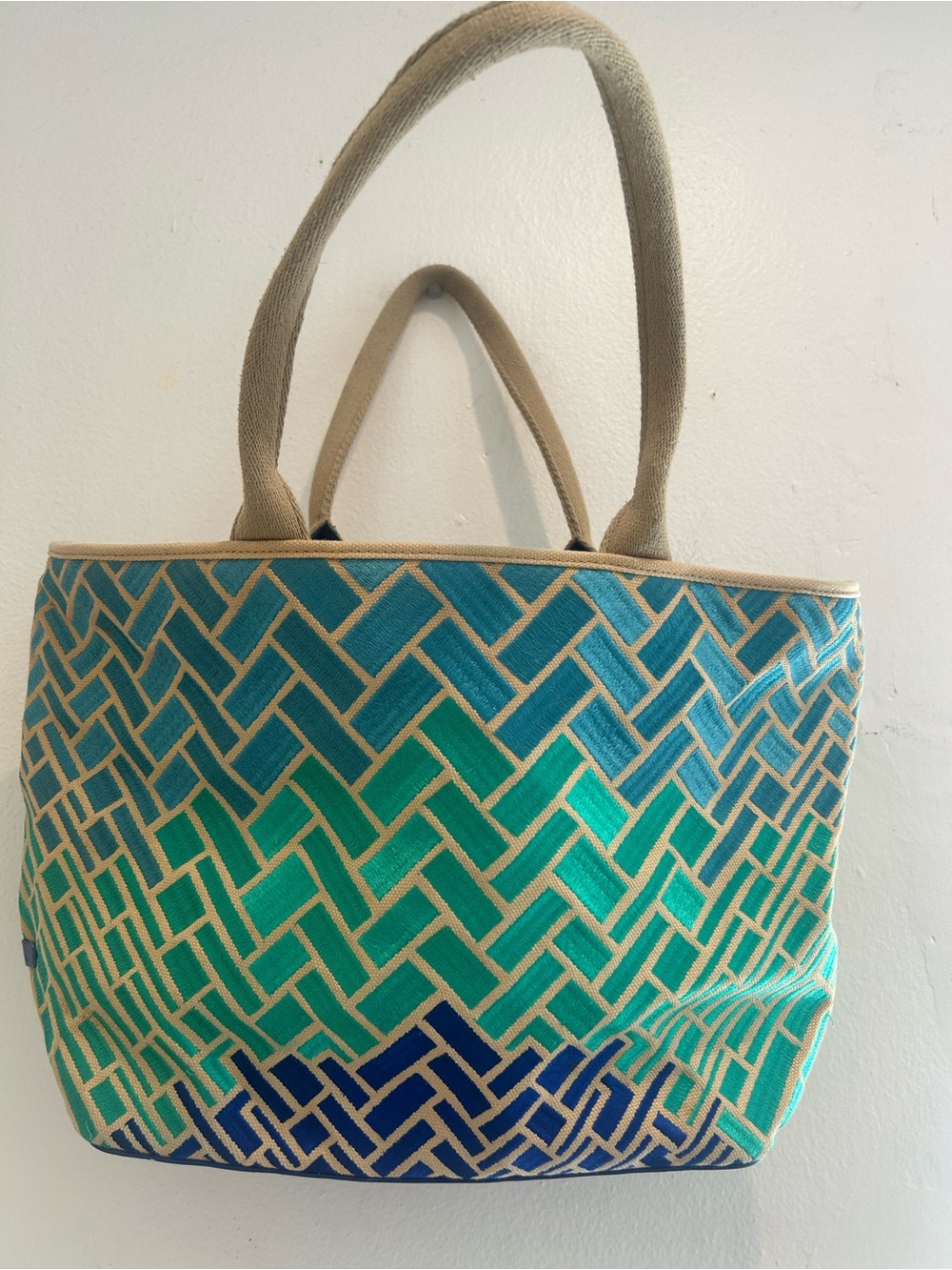 Cole Haan Canvas Tote Bag in Teal & Blue - Stylish Women's Handbag